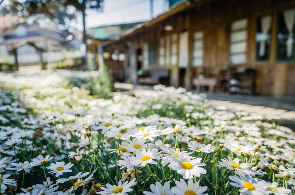 広島の新築でできる防犯対策まとめ!
